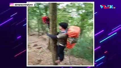 Viral Pendaki Dibegal Babi Hutan