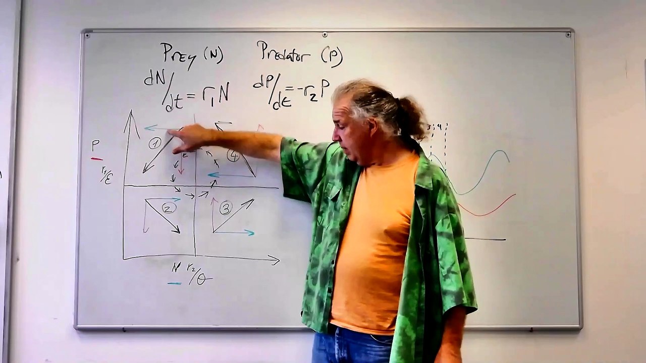 Fundamentals of Ecology 11.5: Better Explanation of the Predation Model