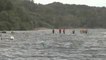 Evacúan los cuerpos de las más de 350 ballenas muertas en las costas australianas