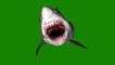 3D ANIMATED SHARK JAWS III GREEN SCREEN