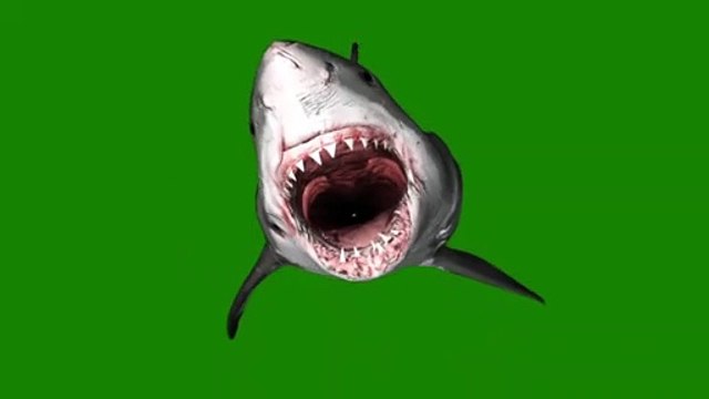 3D ANIMATED SHARK JAWS III GREEN SCREEN