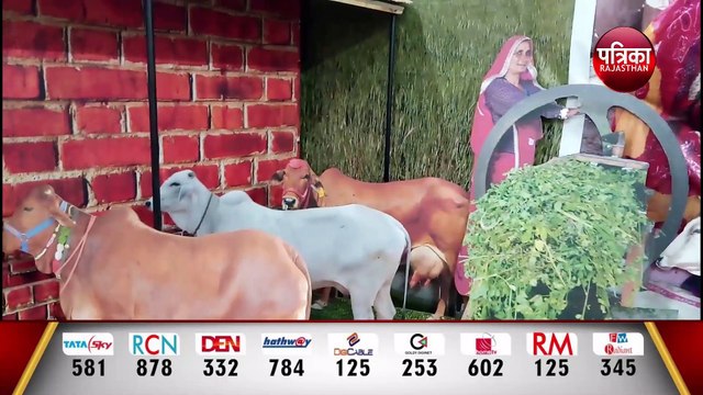 पशुओं के नस्ल सुधार की कवायद, सेक्स सोर्टेड सीमन से कृत्रिम गर्भाधान की योजना