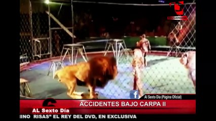 Accidentes bajo carpa II: terror y fatalidad en los circos