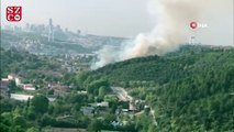 Beykoz Anadolu Hisarı'nda orman yangını