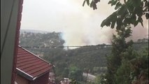 Beykoz'da ormanlık alanda yangın (2) - İSTANBUL
