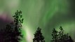De magnifiques aurores boréales observées la nuit dernière en Laponie