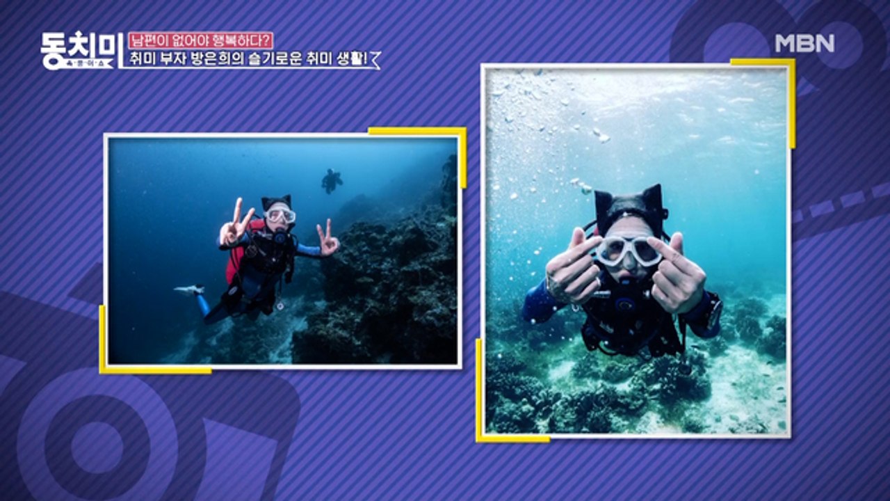 [방은희의 슬기로운 취미 생활] 아트페인팅부터 해외 스쿠버 다이빙까지!