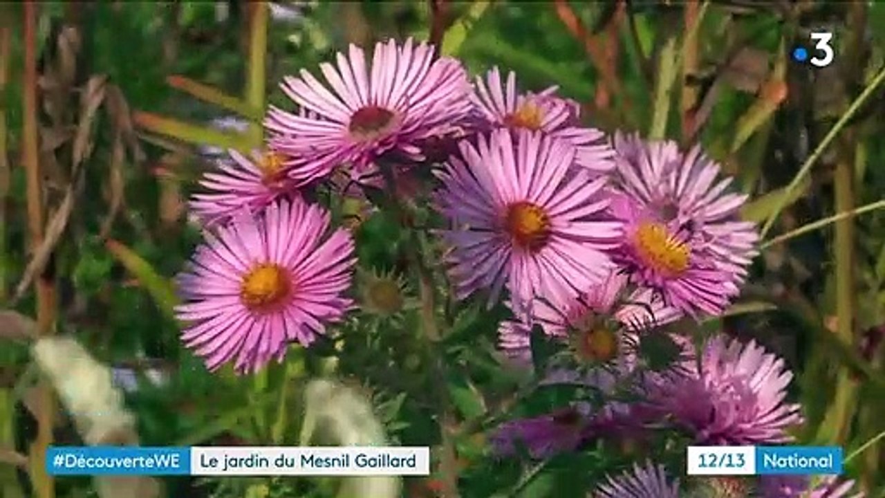 Seine-Maritime : une promenade florale dans le jardin du Mesnil Gaillard