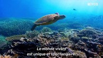David Attenborough- A Life On Our Planet (French Trailer 1 Subtitled)