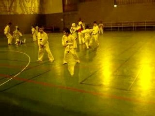 tae kwon do