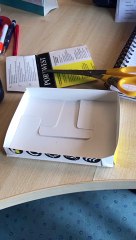 Lady Helps Bird Build Nest on Sloping Light