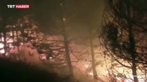 İzmir'de başlayan orman yangını Balıkesir'e sıçradı