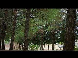 HERCAI TEMPORADA 3 CAPITULO 40  2º PARTE (SUB ESPAÑOL)