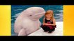 Funny Animals Trolling Babies And Kids