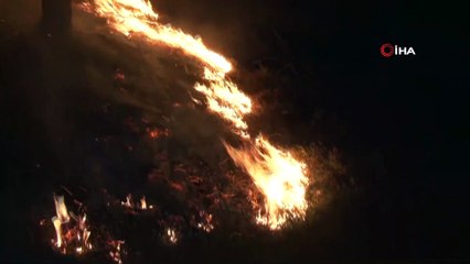 Pendik'te ormanlık alan alev alev yanıyor