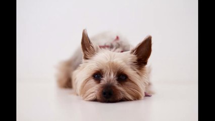 English Synonyms and Antonyms, Section 44: Neglect to Notwithstanding, prep.