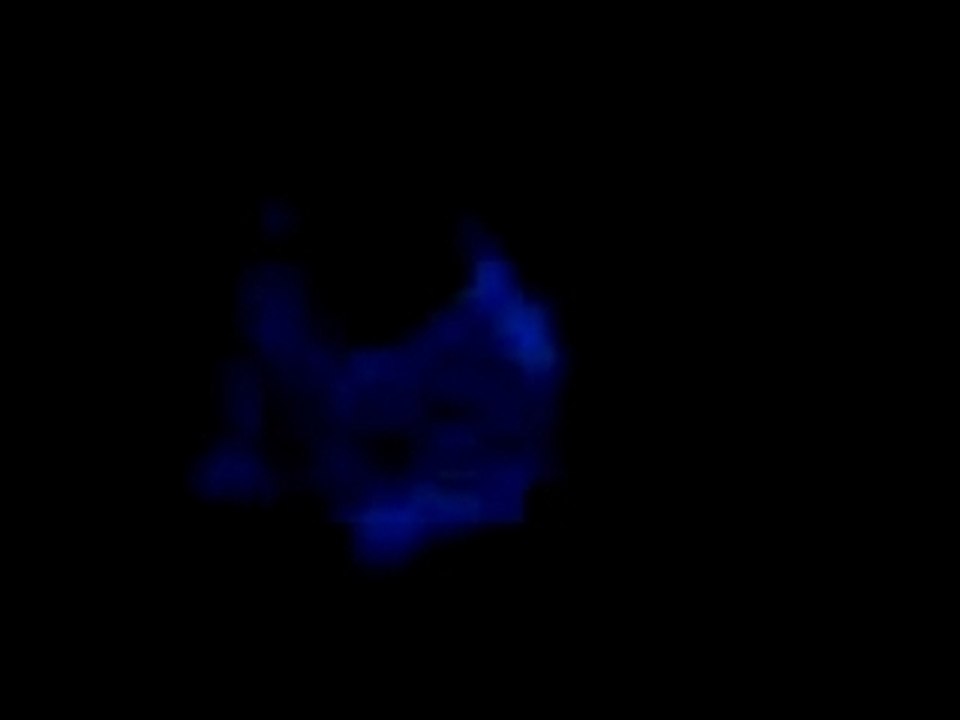 SV_A0174