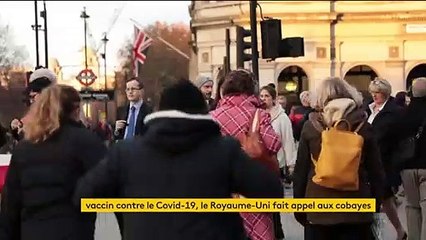 Vaccin contre le coronavirus : le Royaume-Uni fait appel à des cobayes