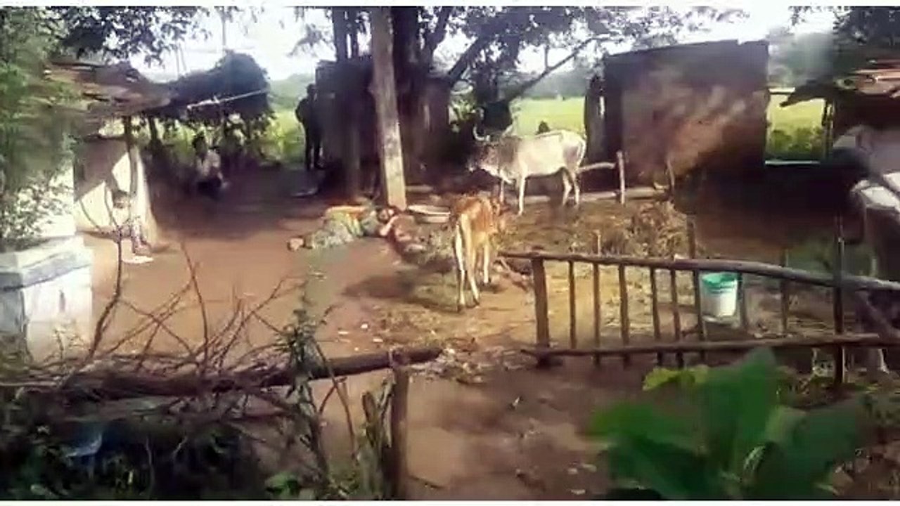 सागरः बेटी से छेड़छाड़ की शिकायत की तो महिला को ख...