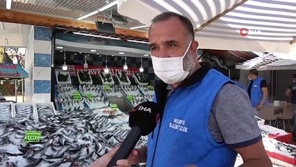 Türkiye’de palamut bolluğu yaşanıyor