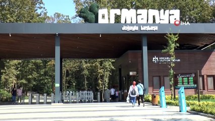 Fabrikanın bahçesinde yuvalarından düşen yavru güvercinlere anne şefkati