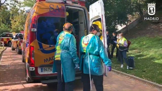 Herida grave una cuidadora del Zoo tras ser atacada por un gorila