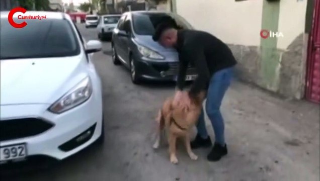 Sahibine kavuşan köpeğin sevinci