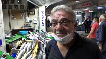 Zonguldak’ta palamut bolluğu