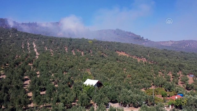 Mudanya'da ormanlık alanda çıkan yangın kontrol altına alındı - BURSA