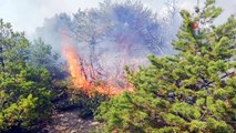Tokat’ta orman yangını, ekiplerin müdahalesi sürüyor