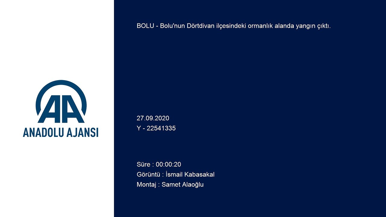 Orman yangınına müdahale ediliyor - BOLU