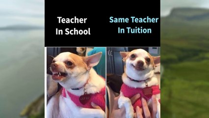 Bangla Troll || বাংলা ট্রল || Bangla Funny Troll Photos Showing That Daily you laugh