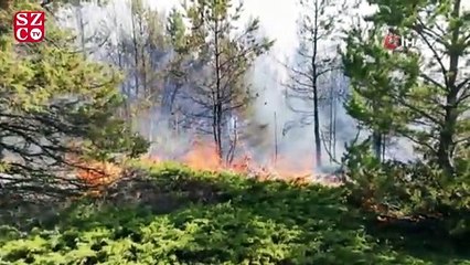 Tokat'ta orman yangını