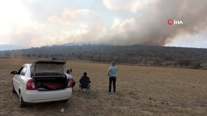 Bolu’da orman yangınına müdahale sürüyor