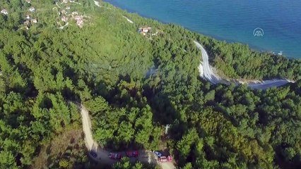 Orman yangını - KASTAMONU