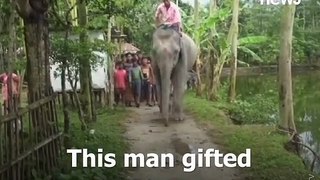 Husband pays Rs 17 lakh for elephant after wife's dream