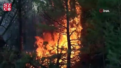 Tokat’ta 4 ayrı noktada çıkan yangınlarla ilgili 1 gözaltı
