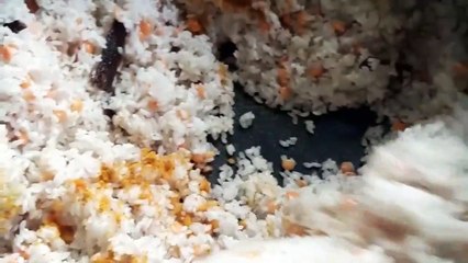 Mojar vuna khichuri  receipe 