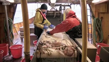 Cornwall This Fishing Life S01E05