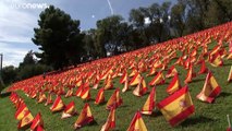 گروهی ناشناس در مادرید به یاد قربانیان کرونا ۵۰ هزار پرچم کاشتند