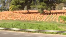 Colocan 53.000 banderas de España en un parque de Madrid por las víctimas del COVID-19