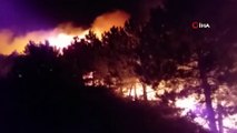 İzmir’deki orman yangını sonrası ağır bilanço: Onlarca hektar ormanlık alan küle döndü