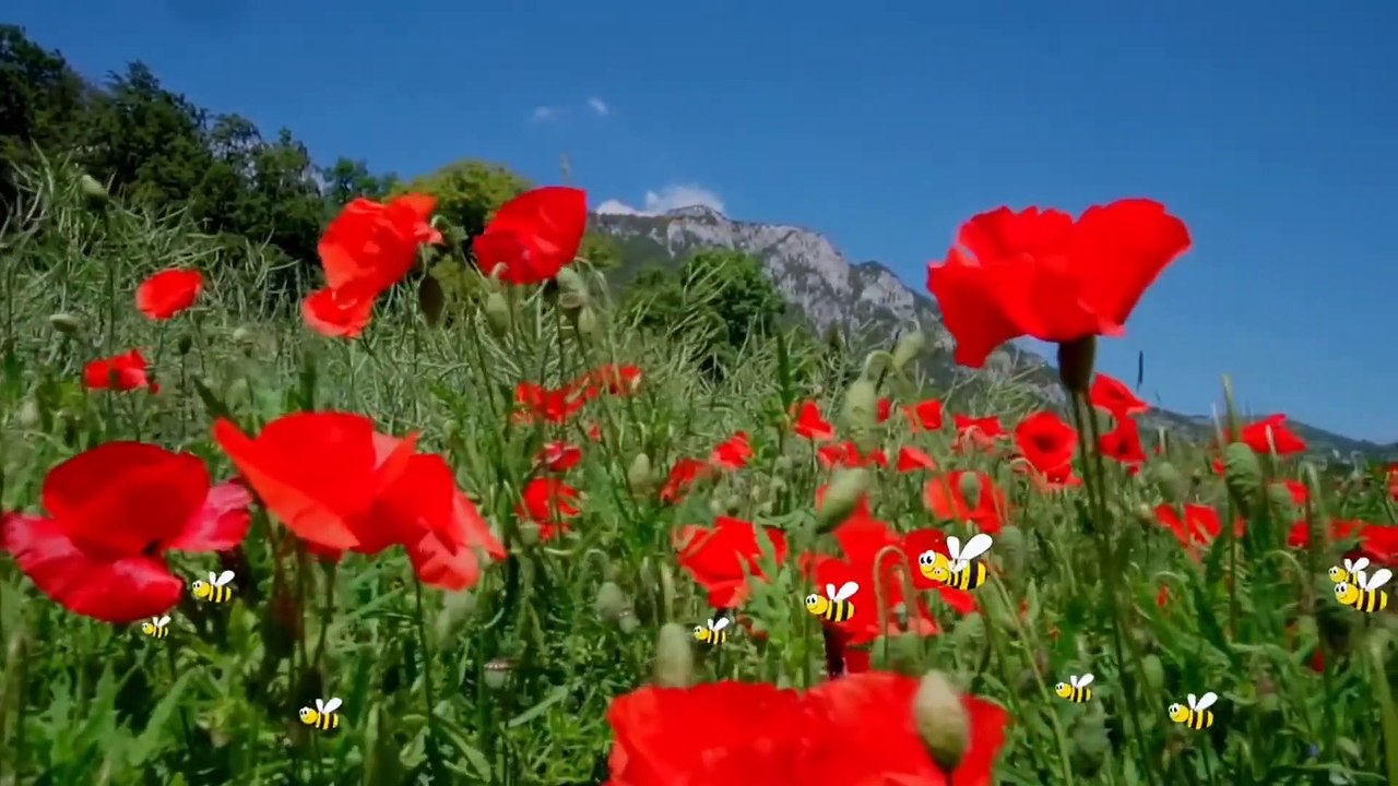 Relaxing music beautiful  | relax free music | meditation music | Relax music love nature