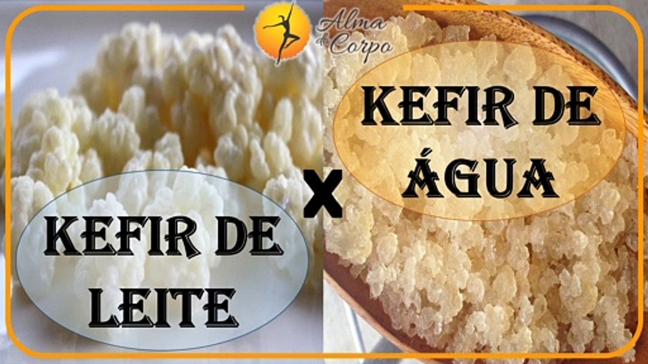 Kefir de leite e de água: Benefícios, onde achar, como preparar e manter