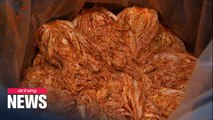 S. Korean researchers find lactobacillus culture fluid from kimchi to be effective in virus killing