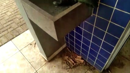 Mau uso: morador registra vídeo mostrando situação de banheiro em estrutura na Av. Tancredo Neves