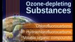 Causes and Effects of Ozone Layer Depletion That are Painfully True