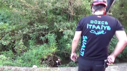 Kanala düşen buzağı itfaiye ve vatandaşların çabasıyla kurtarıldı