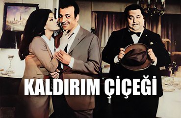 Kaldırım Çiçeği 1969 Sadri Alışık- Mine Mutlu