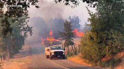 Download Video: Numerous structures engulfed in flames as Zogg Fire sweeps through California towns of Ono and Igo